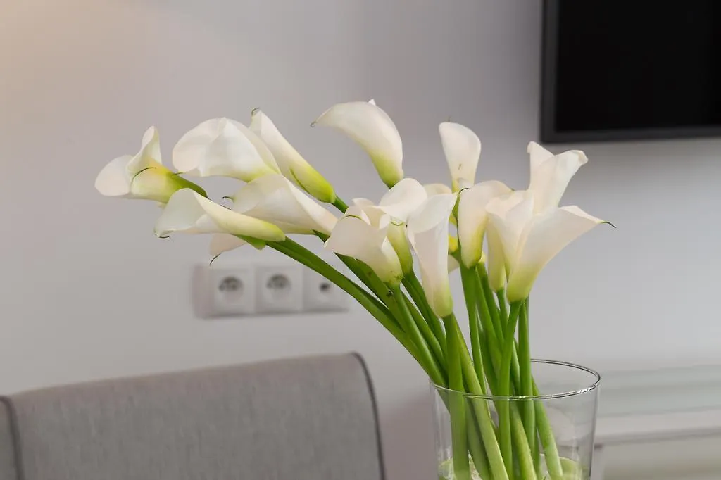 Avanti Home Krakau Polen